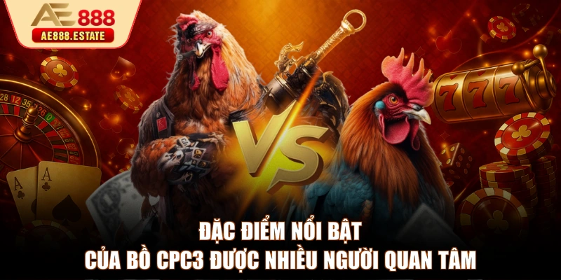 Đặc điểm nổi bật của bồ CPC3 được nhiều người quan tâm