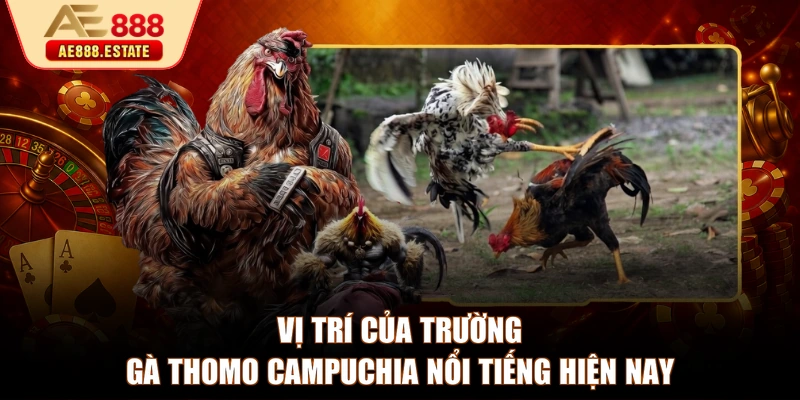 Vị trí của trường gà Thomo Campuchia nổi tiếng hiện nay