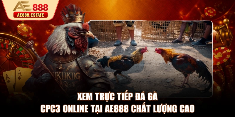 Xem trực tiếp đá gà CPC3 online tại AE888 chất lượng cao